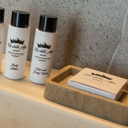 Re Delle Alpi Hotel 3*